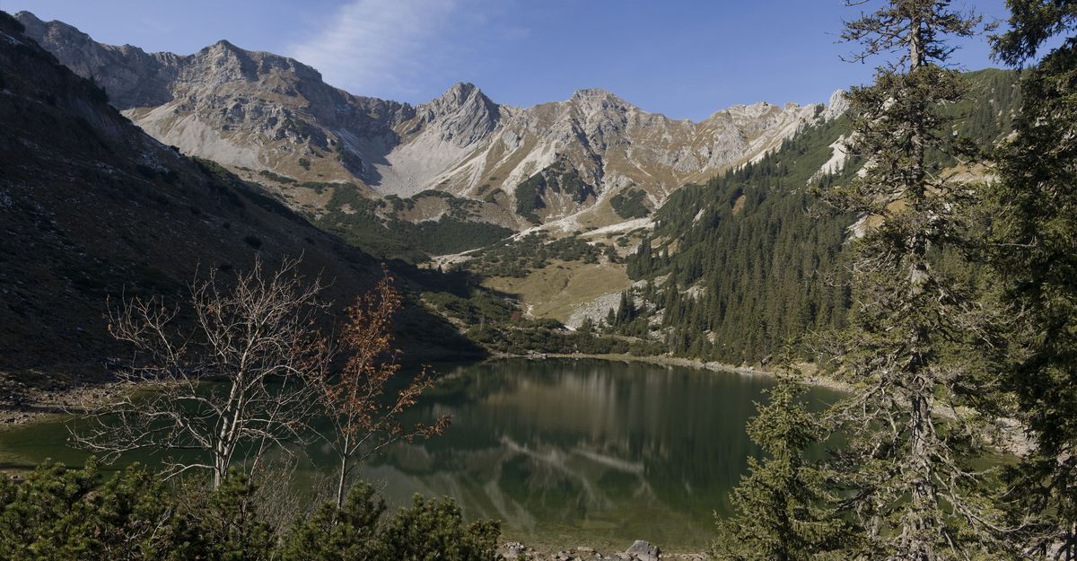 panorama_picture