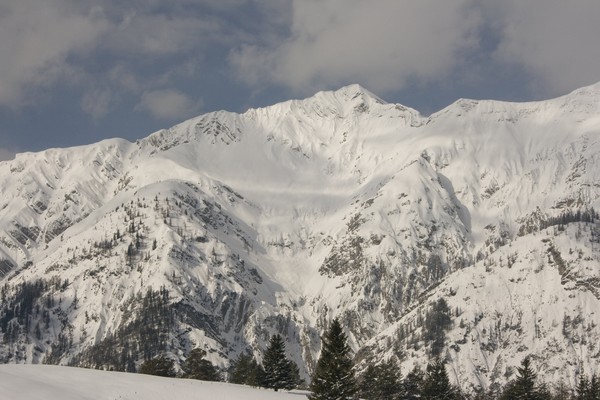 picture