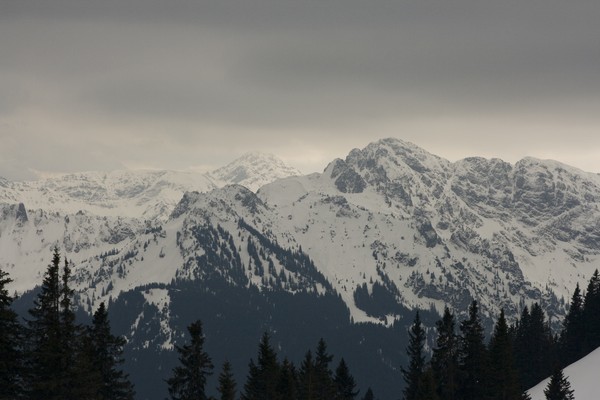 picture