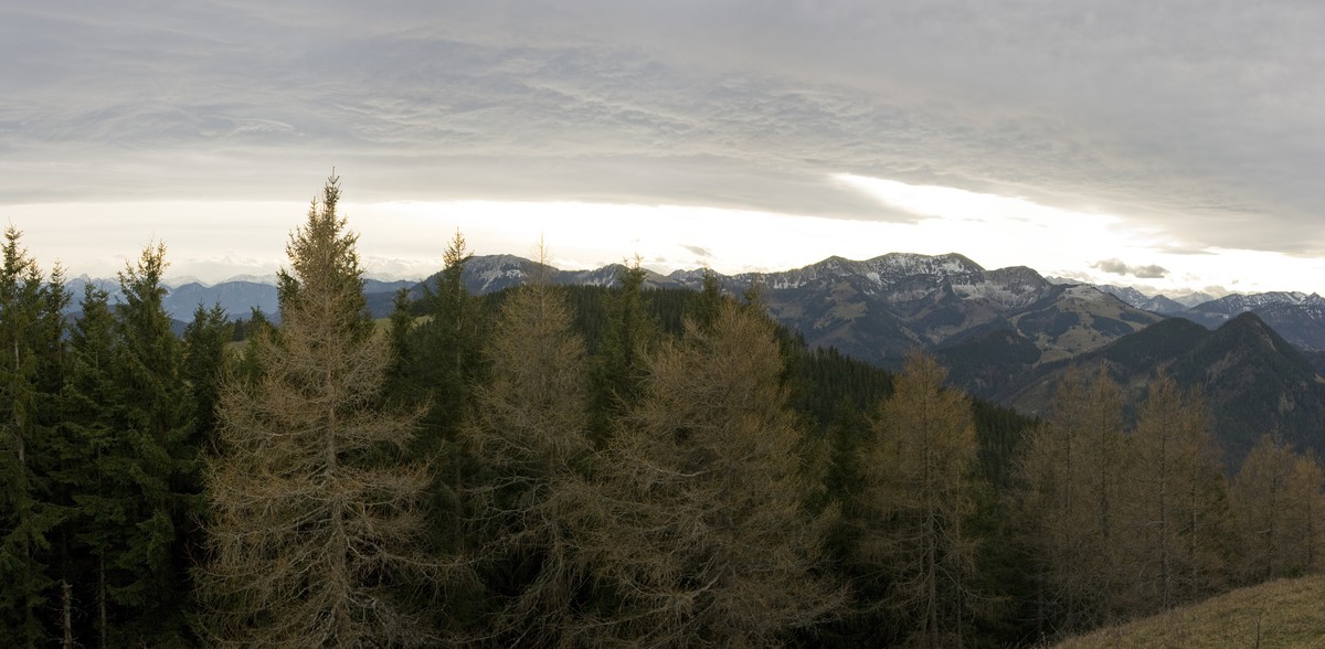 panorama_picture