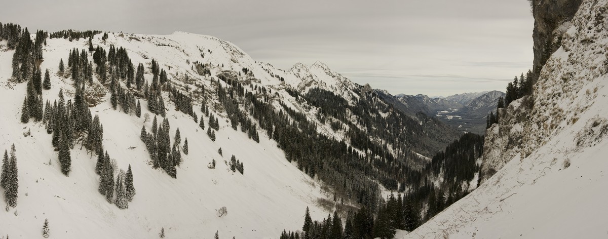 panorama_picture