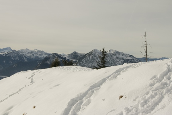picture