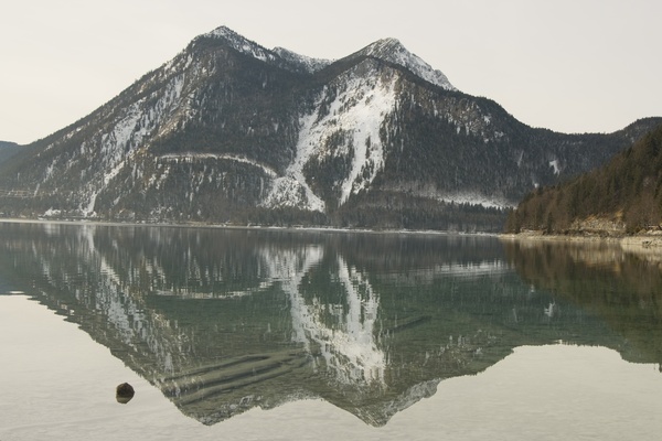 picture