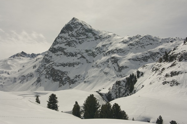 picture
