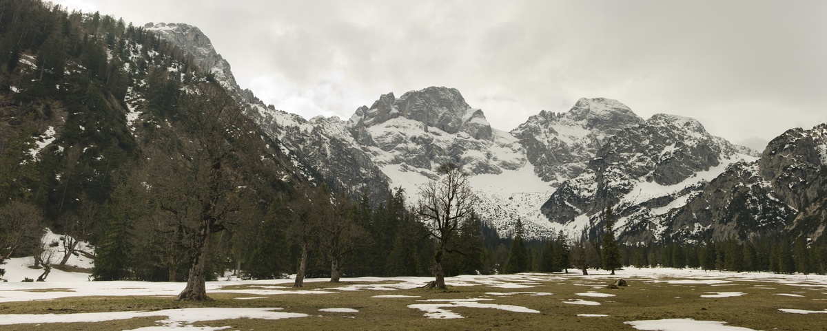 panorama_picture