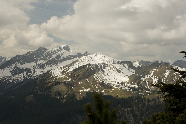 picture