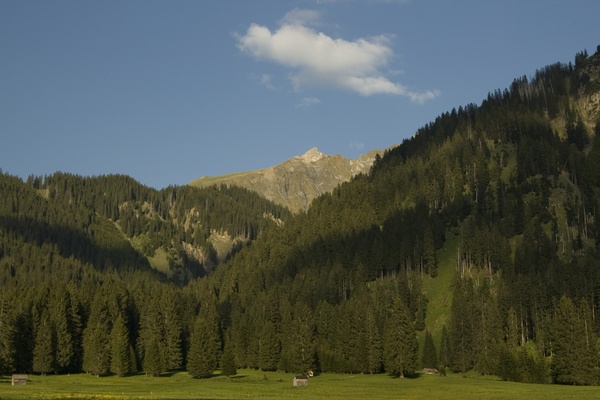 picture