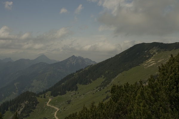 picture