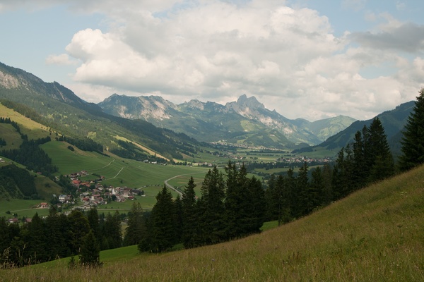 picture