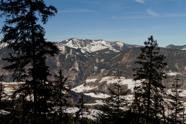 picture
