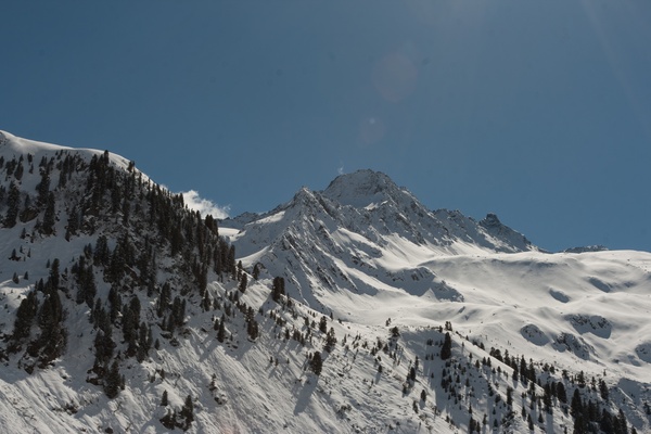 picture