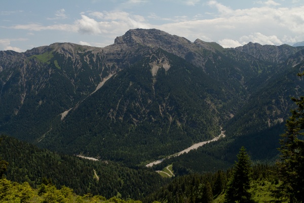picture
