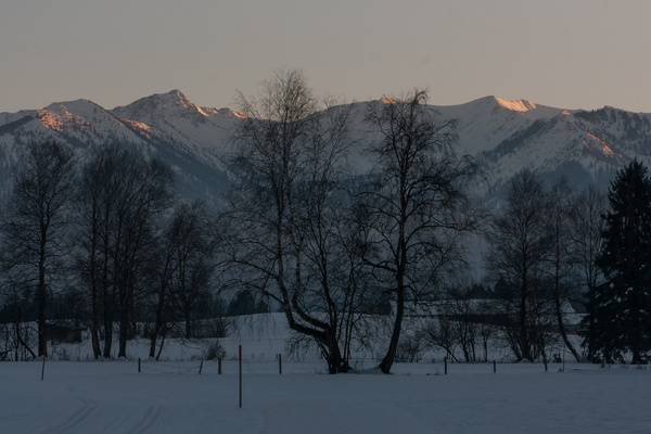 picture