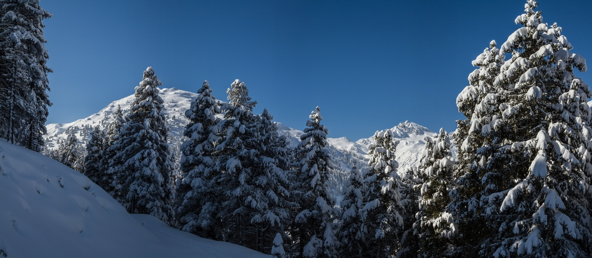 panorama_picture