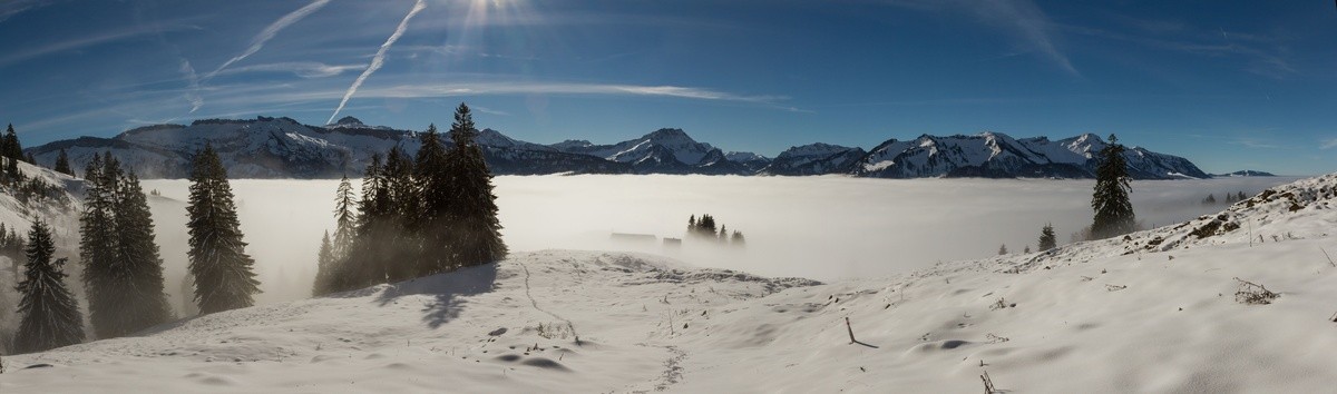 panorama_picture