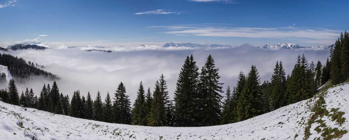 panorama_picture