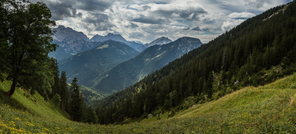 panorama_picture