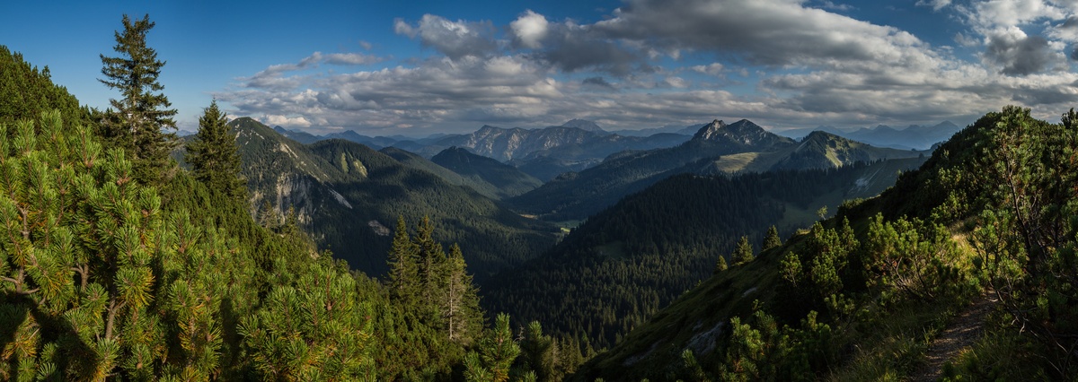 panorama_picture
