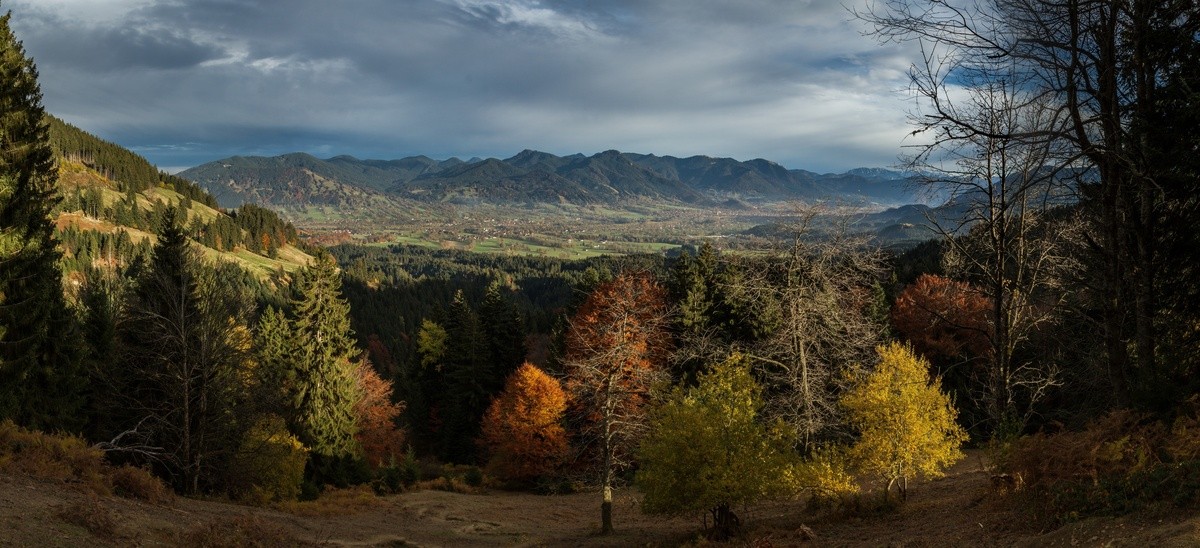 panorama_picture