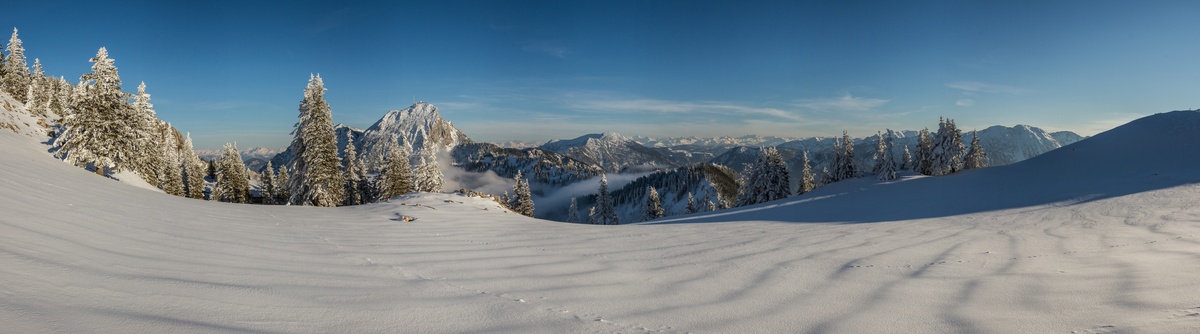 panorama_picture