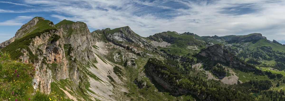 panorama_picture