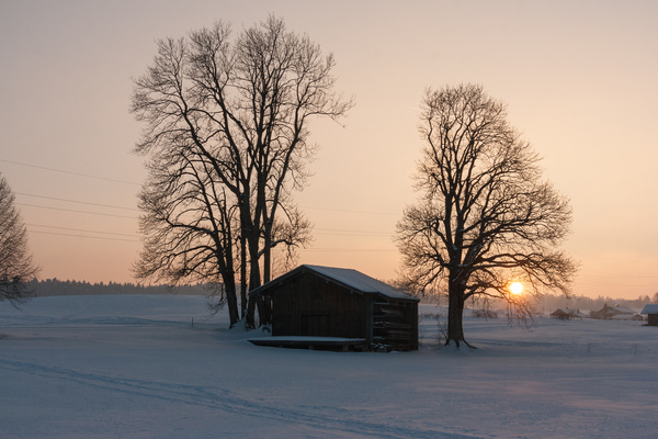 picture
