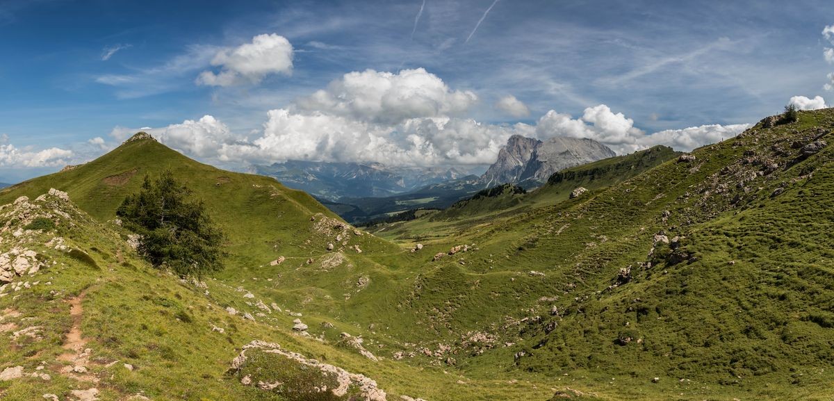 panorama_picture