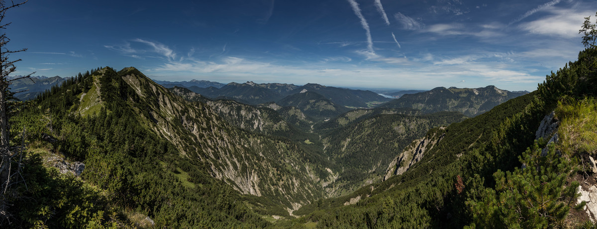 panorama_picture