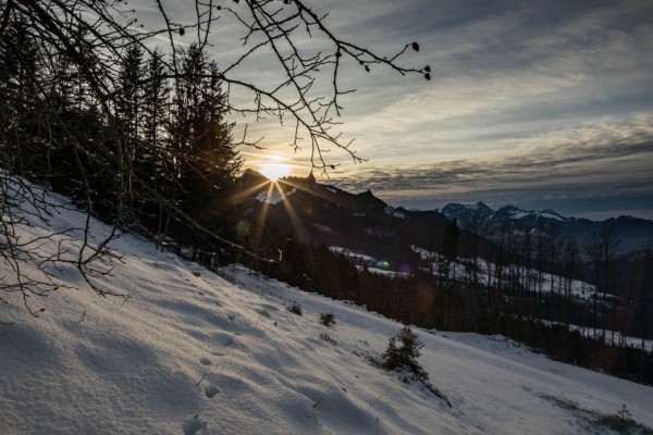 picture