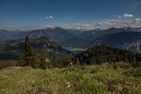 picture
