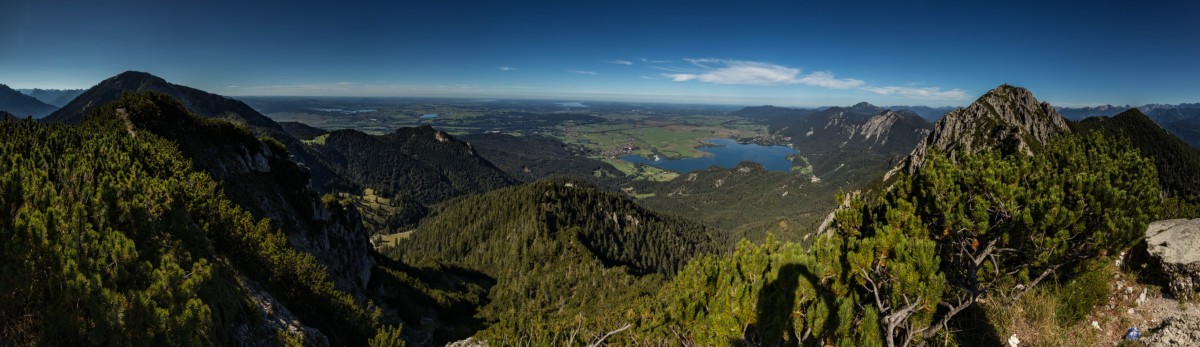 panorama_picture