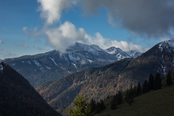 picture