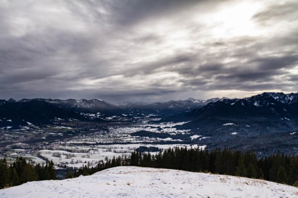 picture