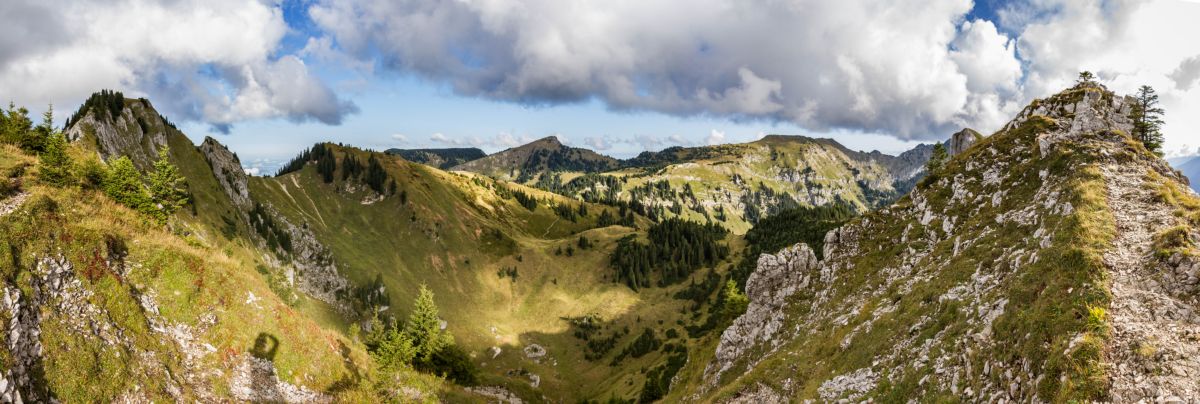 panorama_picture