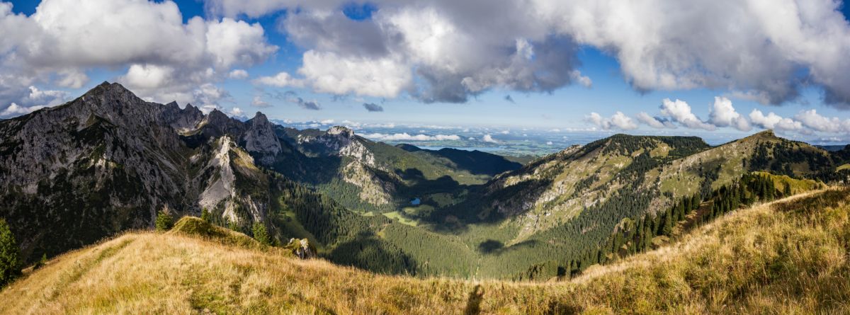 panorama_picture