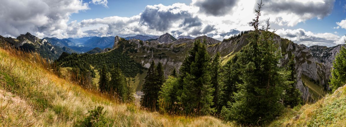panorama_picture