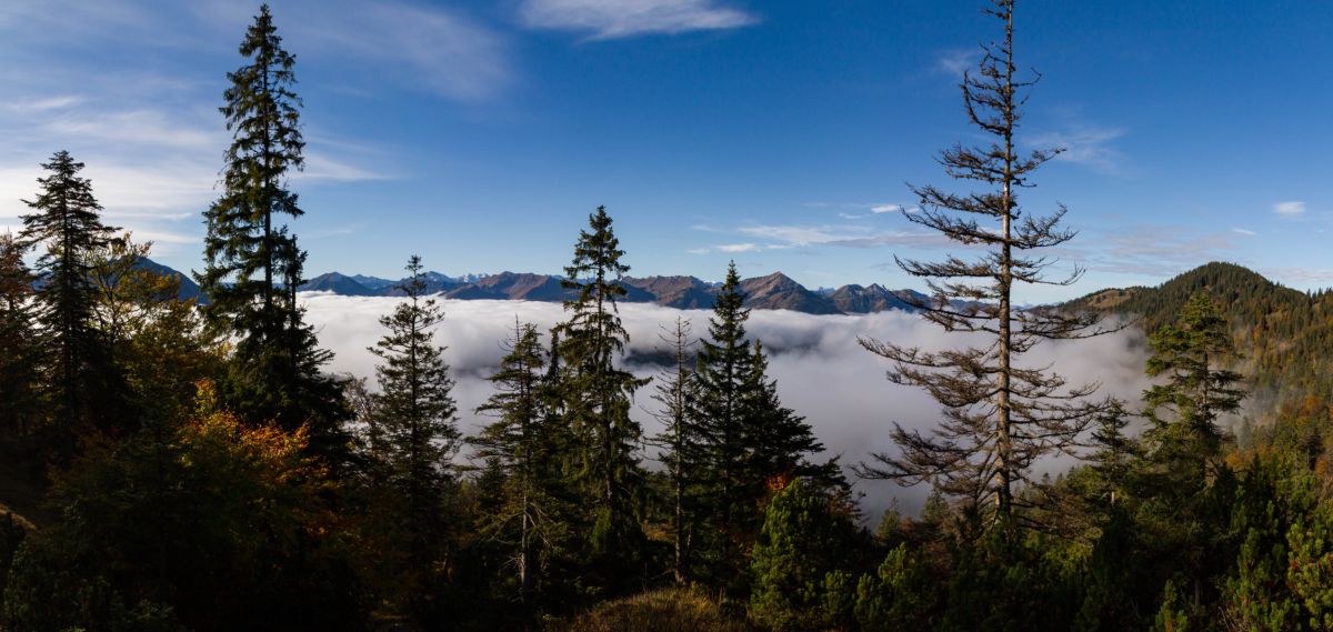 panorama_picture