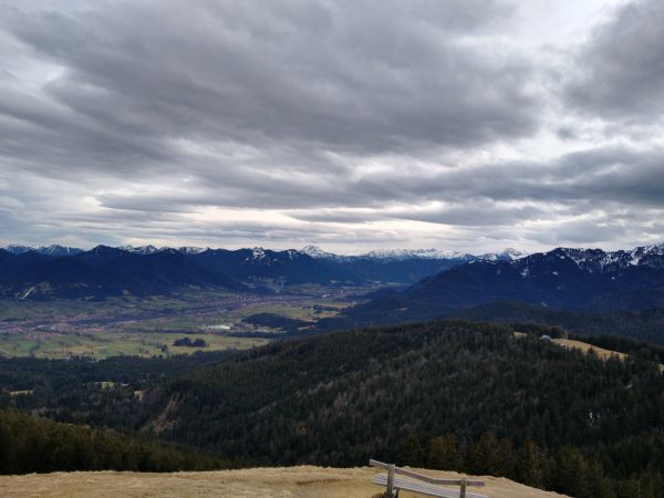 picture