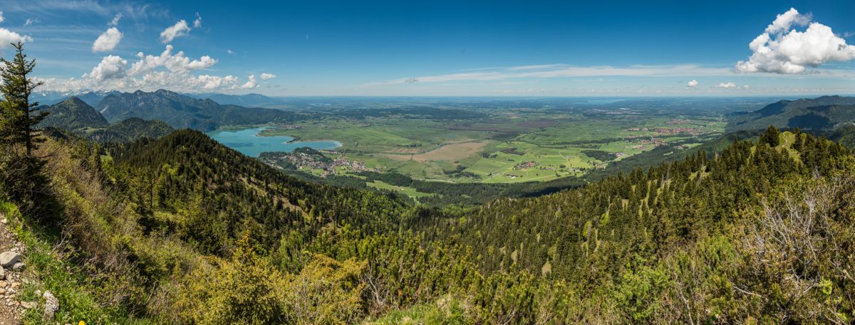 panorama_picture